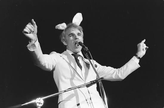 Crowd at a Steve Martin show